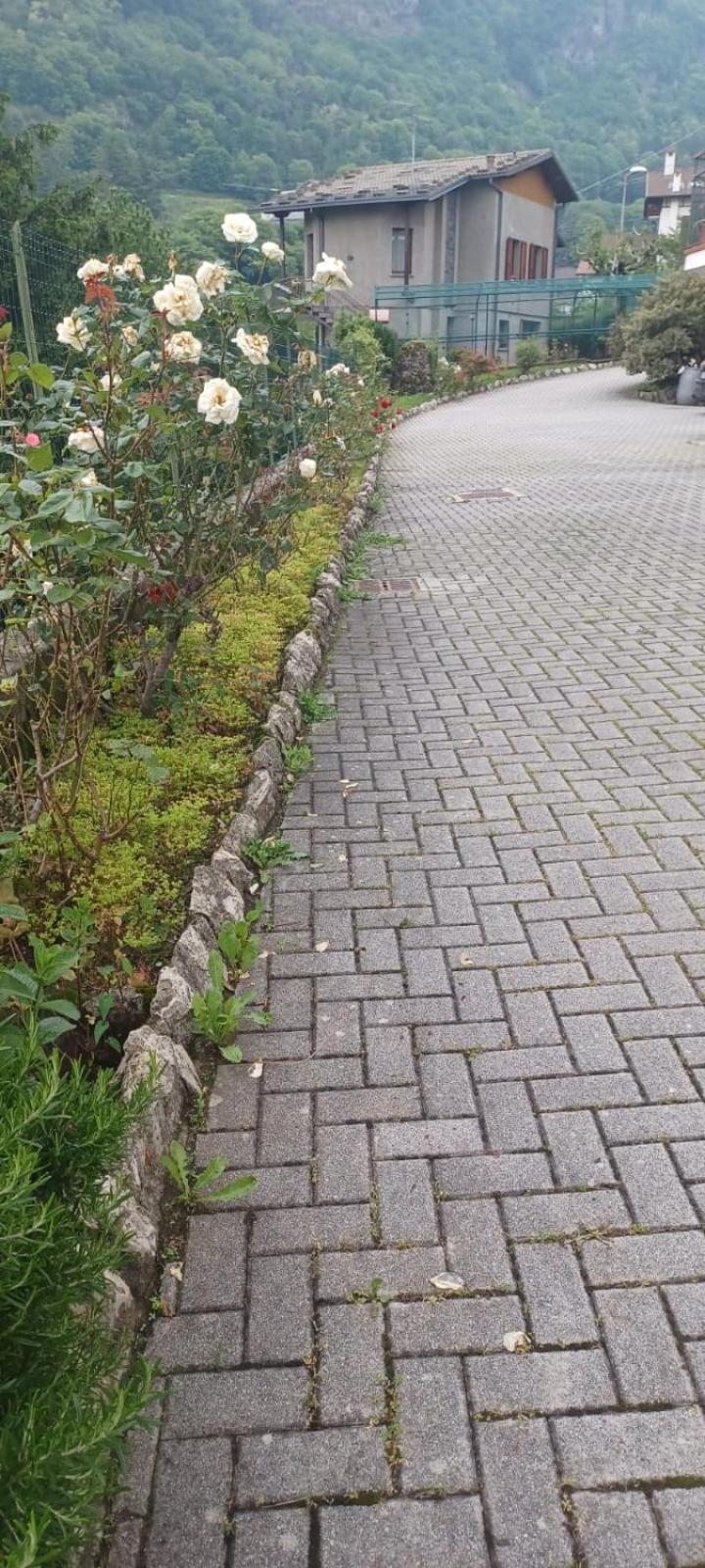 Casa Di Sofia E Oscar Lago Di Como Canzo Exteriör bild